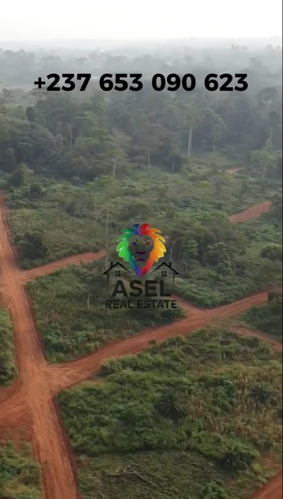 Yaoundé — Afanayoa — 1
