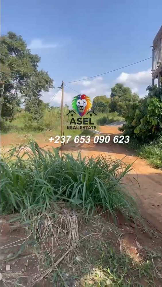 Yaoundé — Nsimalem — 1